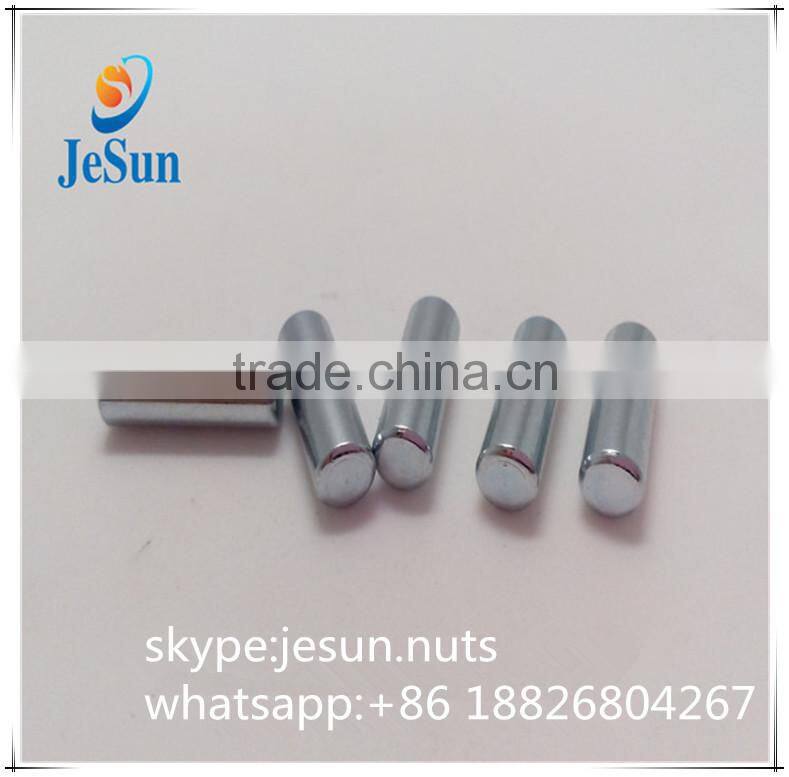 Special Custom Stainless Steel Straight Dowel Pin from manufacturer