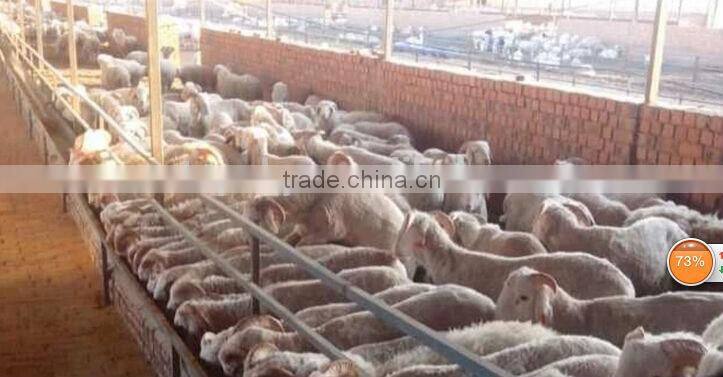 Powerful 450W Electric Sheep Clipper