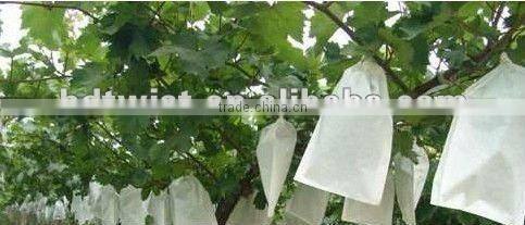 paper fruit protecting bag for grape
