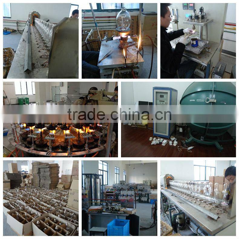 garden 400w MH grow lamp/MH pant grow light/400w metal halide mh grow light