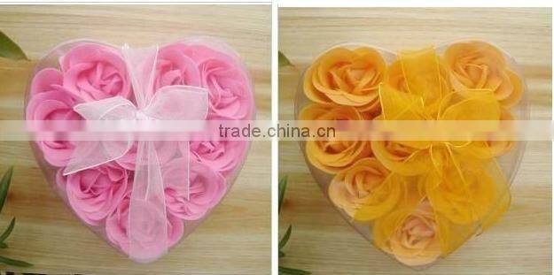 Bath car cleaning foam