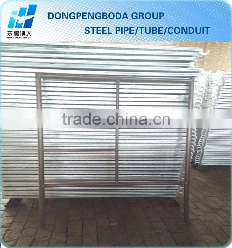scaffolding types and names by china manufacturer DPBD for construction building