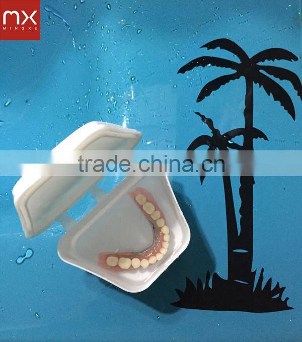 Denture Storage Box: Keep False Teeth Cleaner