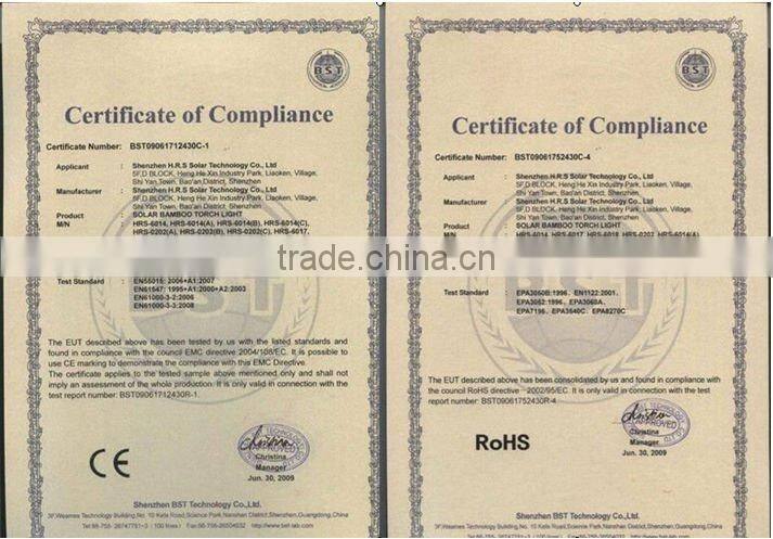 SOLAR LED DECORATION LIGHT