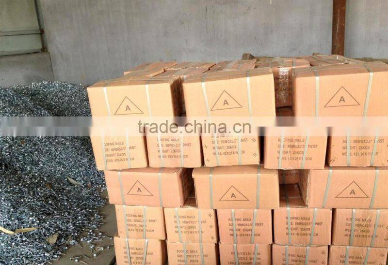 BWG13X 1-3/4" electro galvanized roofing nail with umbrella head