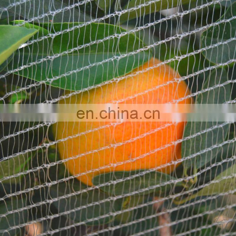 2018 Hot sales Anti Hail Net for Apple Tree net /HDPE agricultural protection net