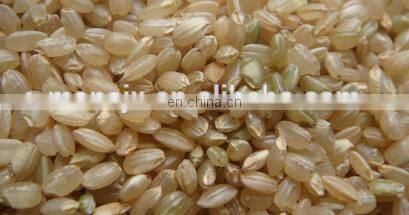 mini paddy rice milling machine/rice polishing machine/rice hulling machine