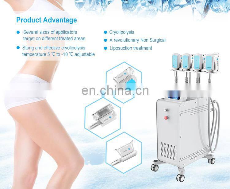 Freeze Fat Cells Procedure Cool Lipo Slimming Treatment 4 Handle Cryolipolysie