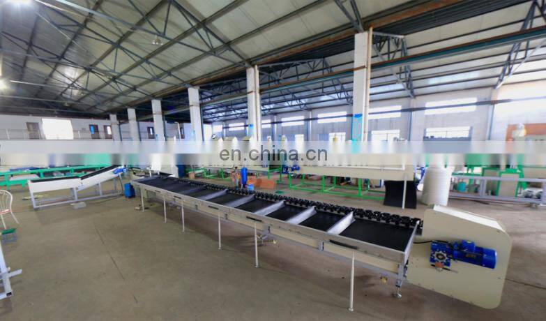 Fresh vegetable & fruit washing machine & sorting machine with the factory price