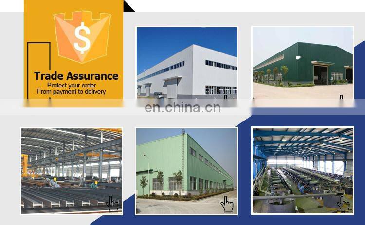China Low Cost Prefab Steel Structure Shed Workshop / Warehouse Hangar
