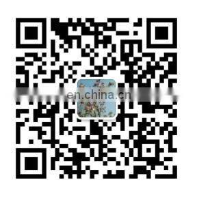 strength machine high-end wholesale Commercial gym fitness equipment ASJ-DS024 torso rotation machine for sale