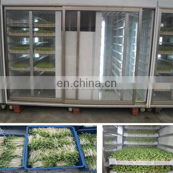 Automatic bean sprout growing machine box-type bean sprouts machine