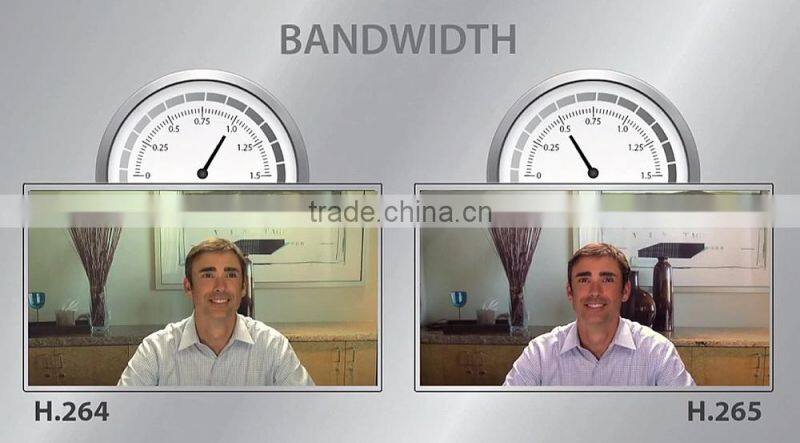 WDR Outdoor Security POE H.265 IP Network Camera 2.0MP 1080P Panasonic 34229 CMOS Hi3516D 6mm Lens Audio USB (SIP-E07-229DP)