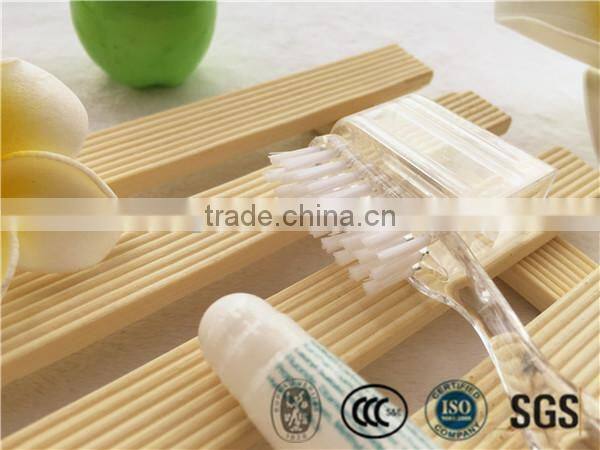 Airline toothbrush set