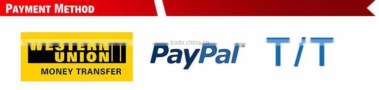 Dependable Performance Printing Ciss Ink For Canon s300