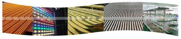 High quality 60LEDs per meter SMD2835 LED Strip,DC12/24 12WSMD2835 LED light Strip