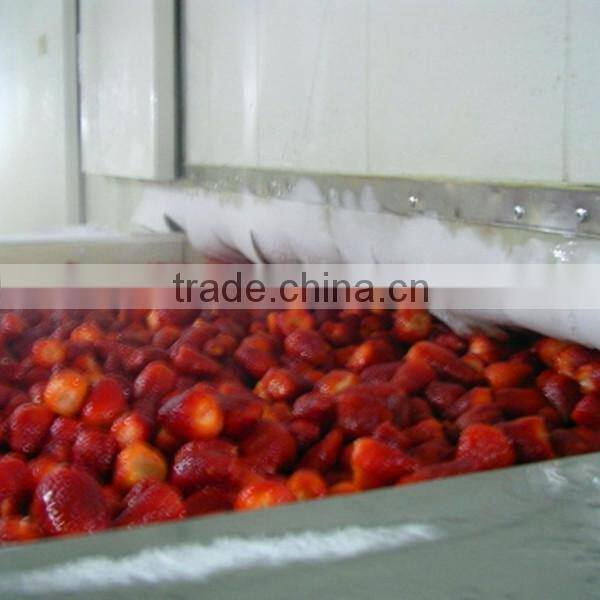 Frozen strawberry 4 1