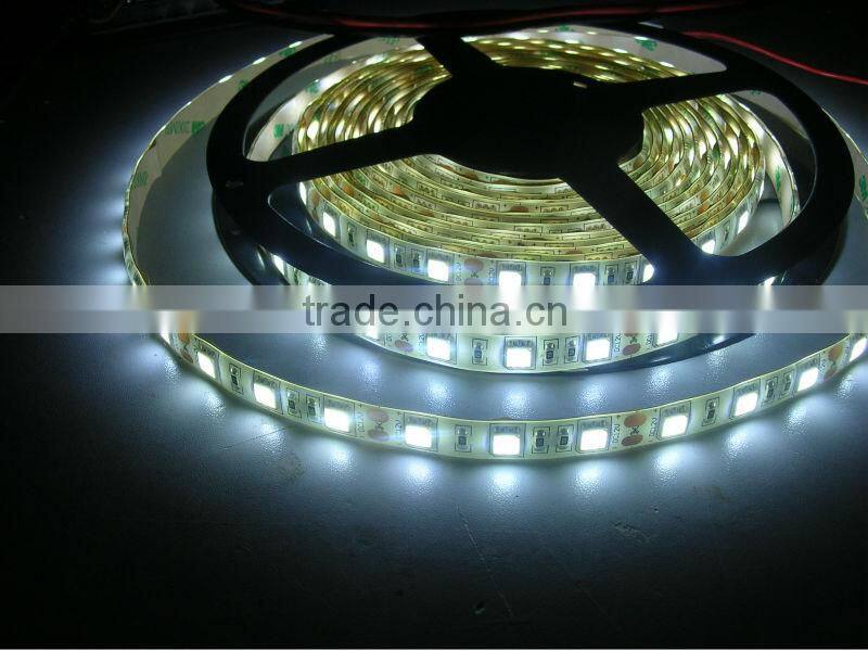 5M 5050 LED Hight brightness cold white 60 chip dc12v led strip 5050 rgb ip68 5050 LED