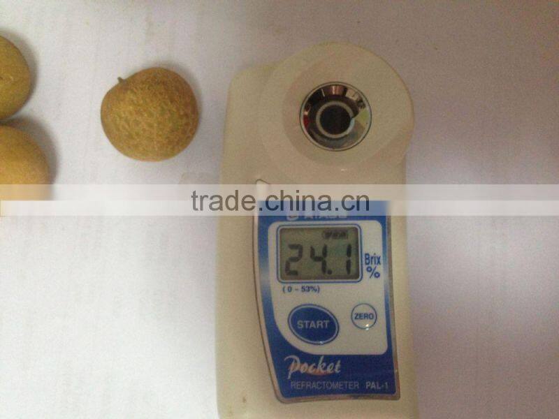 100% sweet,juicy,health longan thai fruit fresh