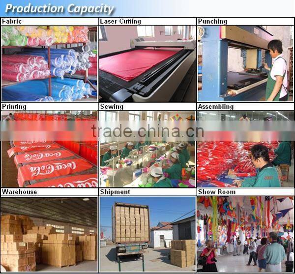 Chinese Heat Transfer full color Printing Cartoon Picture Kite with competitive price
