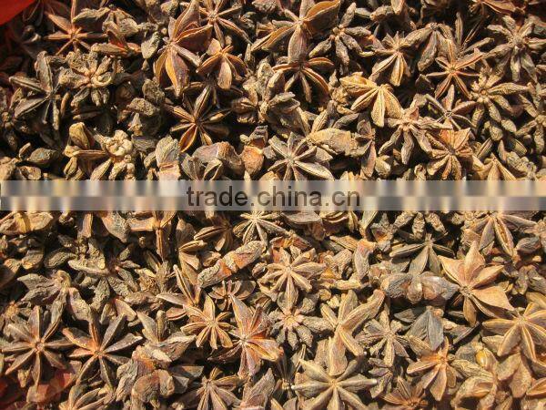 New crop 2015 star aniseed