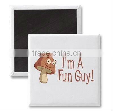 2013 Tin Magnet Of Gift