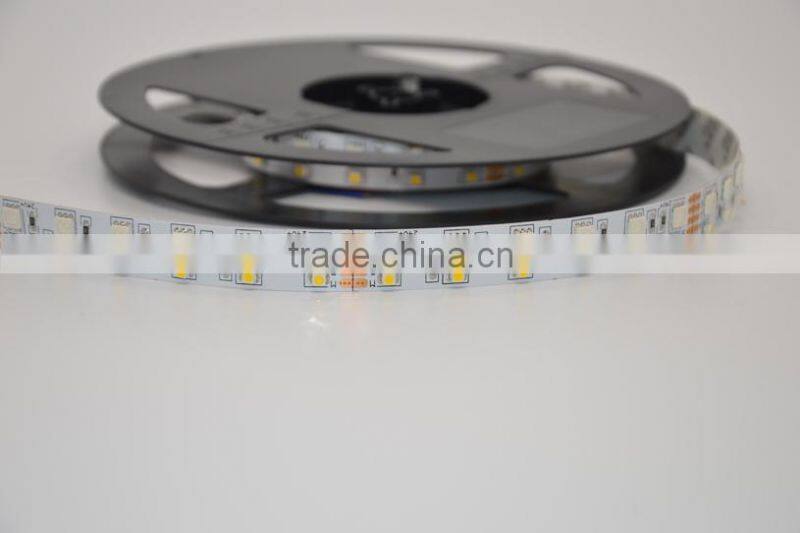 RGBW Double Row SMD5050 SMD3528 Waterproof Led Strip Light
