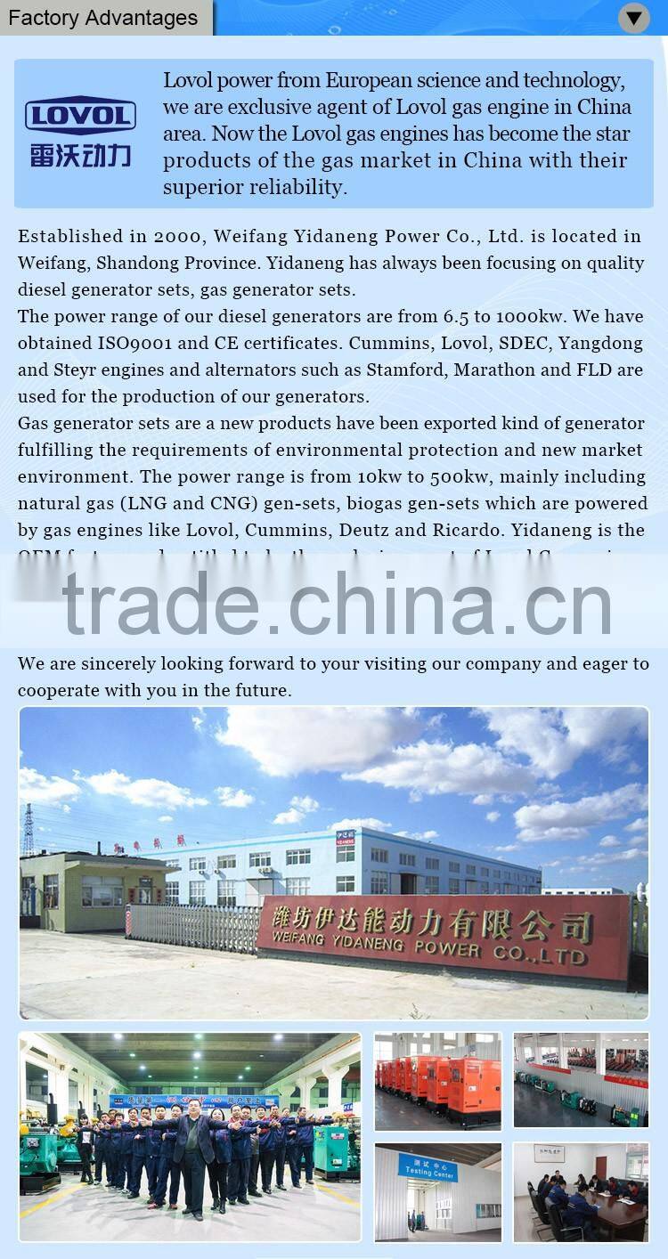 Yidaneng Power 25kw 30kw yangdong diesel engine generator
