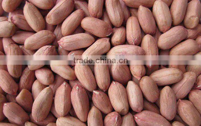 (nuts&kernels) china peanut kernel direct supplier (60/70)