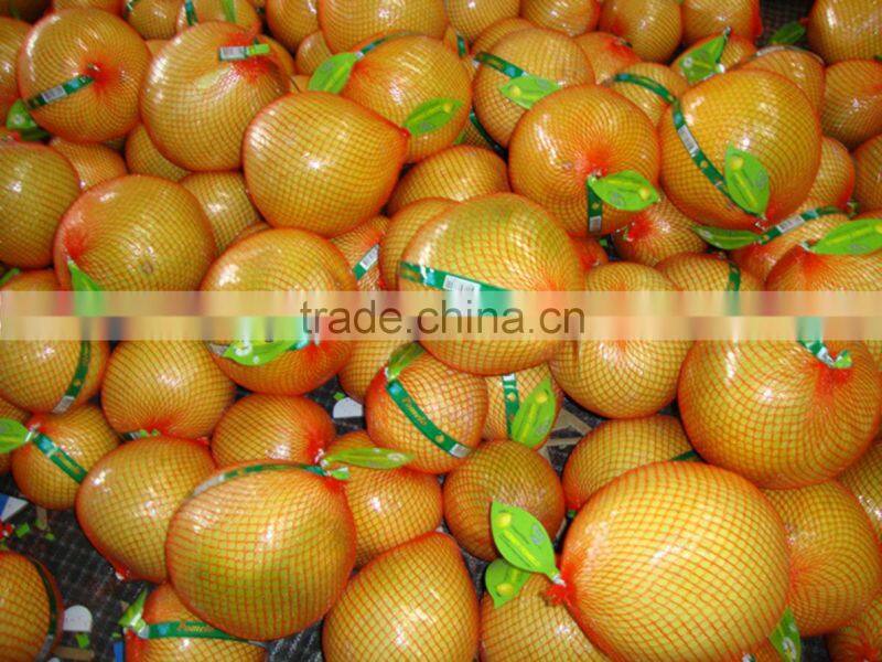 Fresh Guanxi honey pomelo top grade pomelo