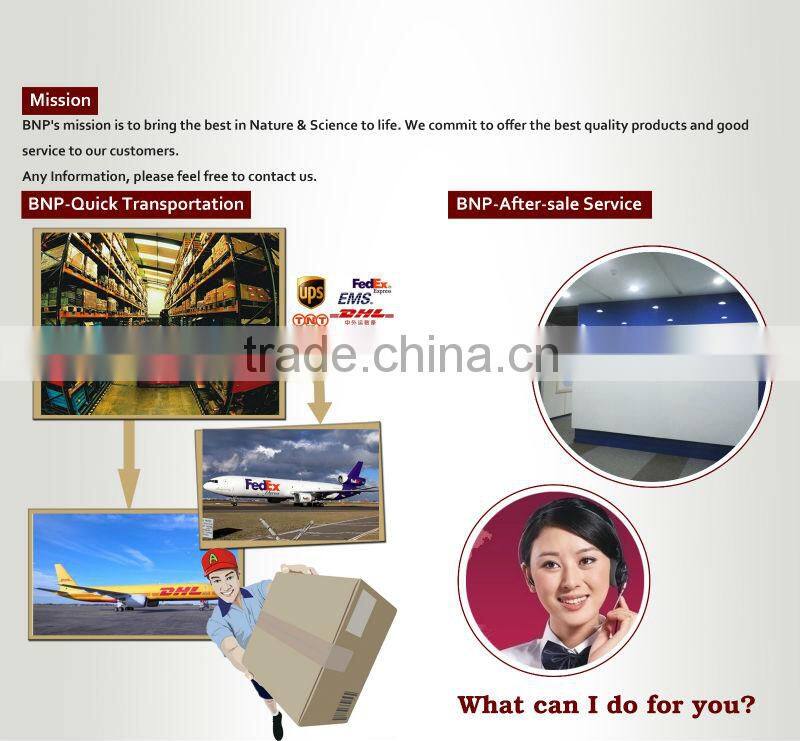 China BNP 100% Natural No Citrinin Red Yeast Rice Extract Powder