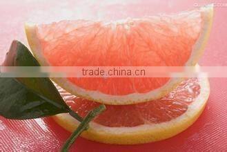 grapefruit