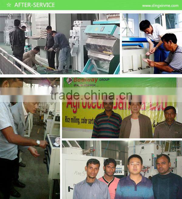 China Best Melon Seeds Color Sorter Color Selector Color Sorting Machine