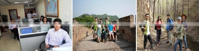 charging battery power lorry for transportation usage 2.5kw motor 5 pieces 150AH battery