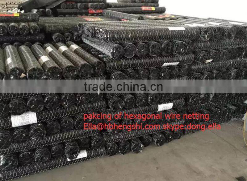 Hot selling galvanized hexagonal wire mesh with low price