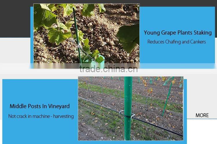 colorful high strength glass fiber vineyard post