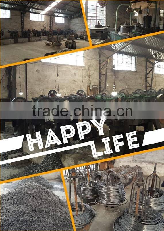 1"*11G Galvanized Umbrella Head Plain and Ring Shank Roofing Nail (factory)