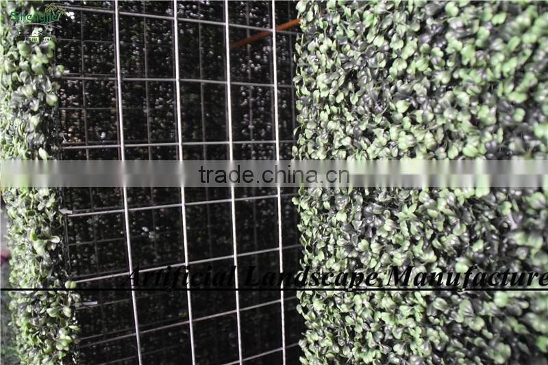 Fake Boxwood Hedge Panel,Artificial boxwood Mat for Sale Landscaping Home Garden Decoration