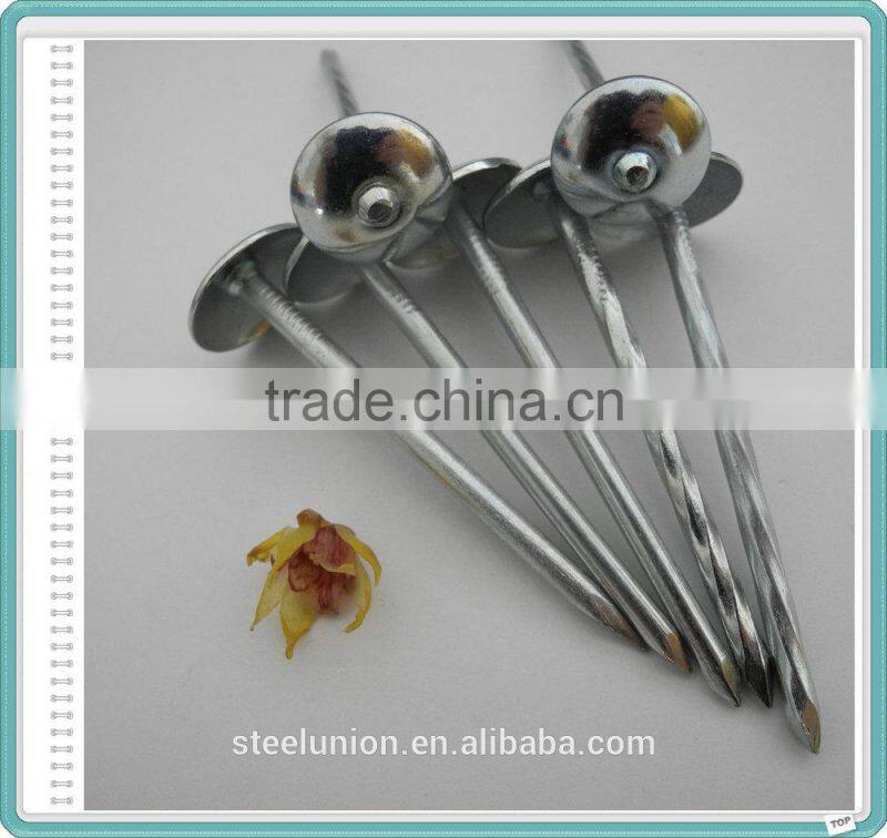 Electro Galvanized Roofing Nails/Umbrella Nails Factory