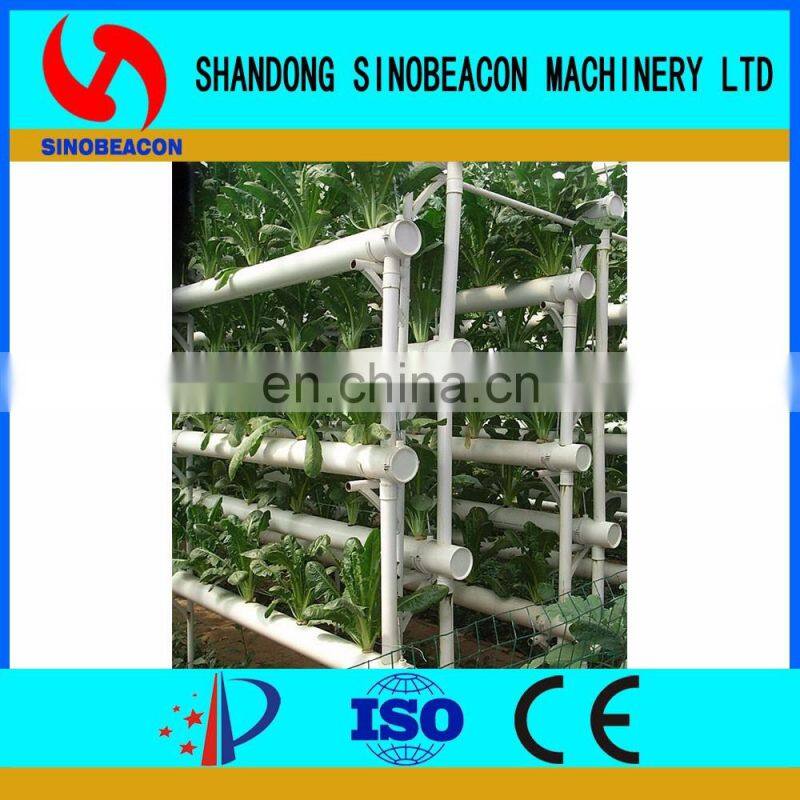 Hydroponic Lettuce Gutter Systems