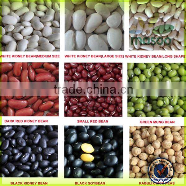 2014 crop Dry Black Kidney Beans or Black Beans