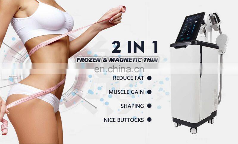 Cryolipolysis Machine Fat Freezing Slimming Body Massage Muscle Stimulator Abdominal Slimming