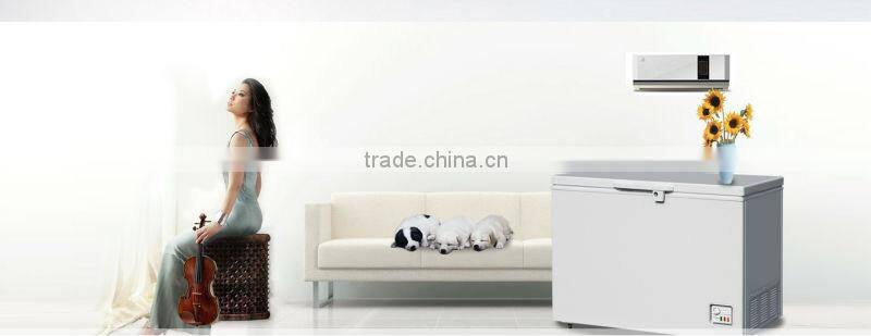 Double door commercial 2 layer ice cream chest freezer