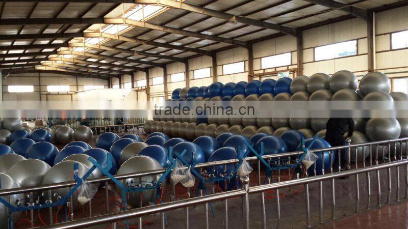 Gym fitness 85CM anti burst oval gym ball