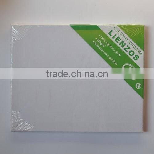 pre printed canvas to paint