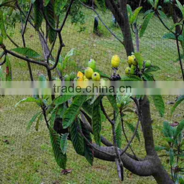 100% virgin HDPE anti bird argo net