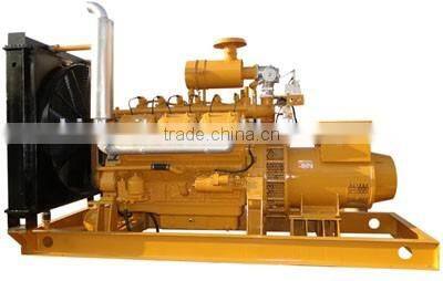 Biomass gasification type power generator