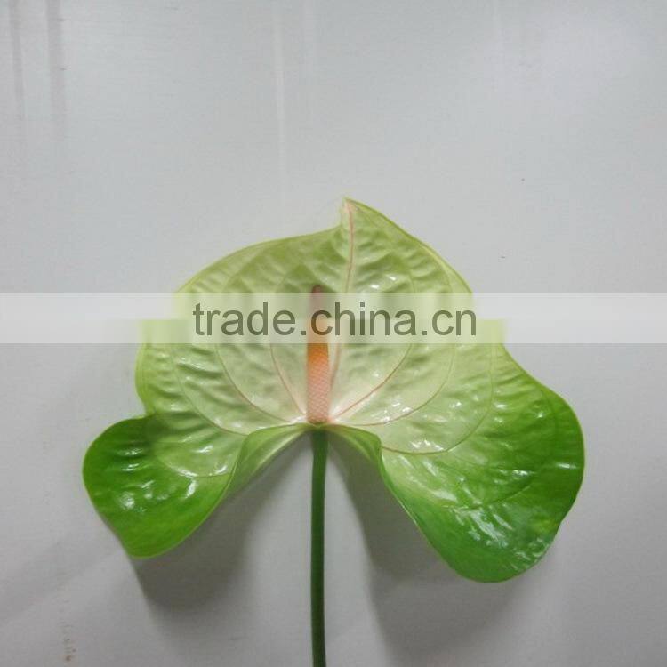 Pure and mild flavor newest 100% fresh cut antirrhinum