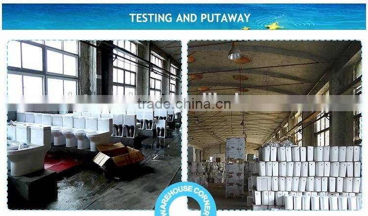 TJZ-06ce 2016 top bidet toilet with bidet function cheap model smart bidet toilet