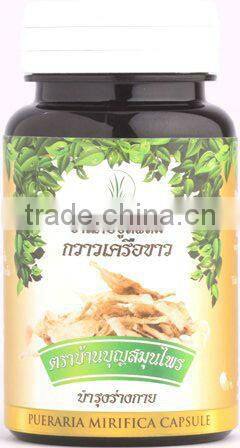 Natural Dried Alexandria Senna leaves